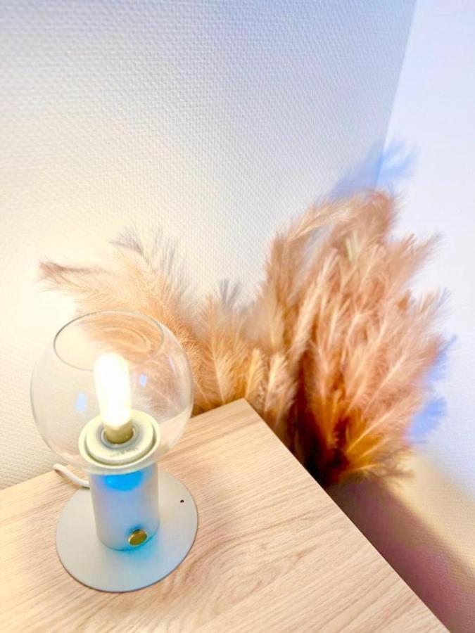L'Atelier Chic - Wifi Fibre - Parking Privee - Balcon - Netflix Apartment Lanester Luaran gambar